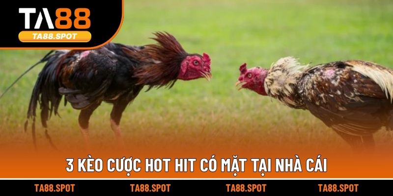 3 kèo cược hot hit có mặt tại nhà cái