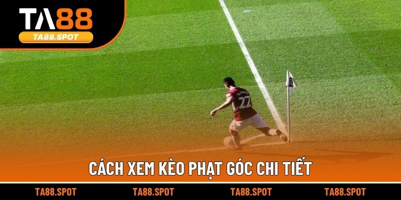 Cách xem kèo phạt góc chi tiết