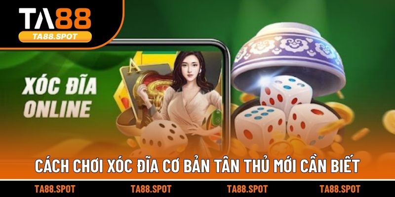 Cách chơi xóc đĩa cơ bản tân thủ mới cần biết