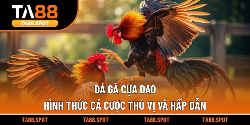 Đá Gà Cựa Dao