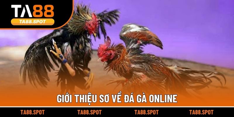 Giới thiệu sơ về đá gà online
