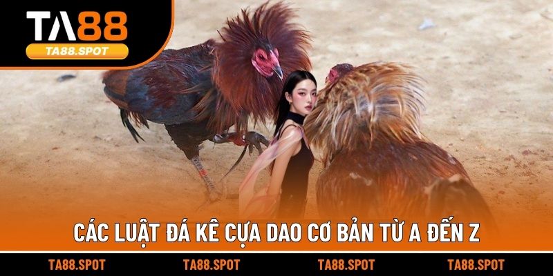 Các luật đá kê cựa dao cơ bản từ A đến Z