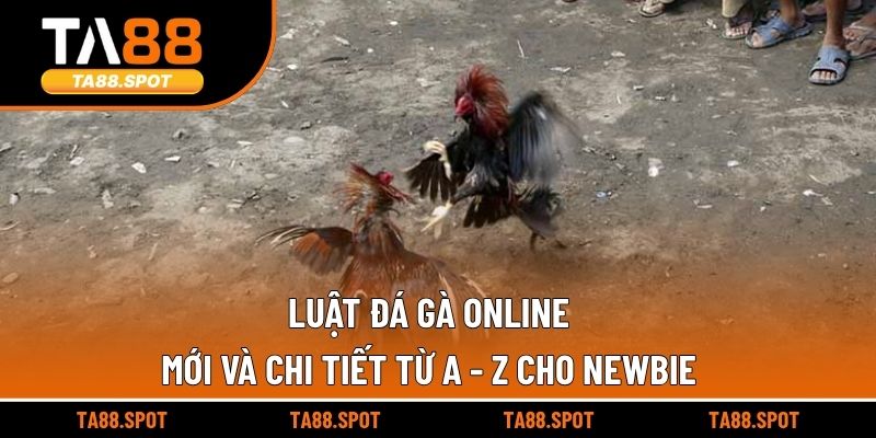 Luật Đá Gà Online
