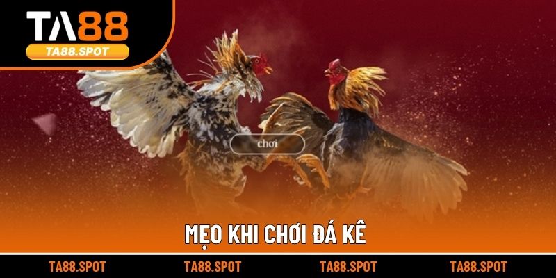 Mẹo khi chơi đá kê
