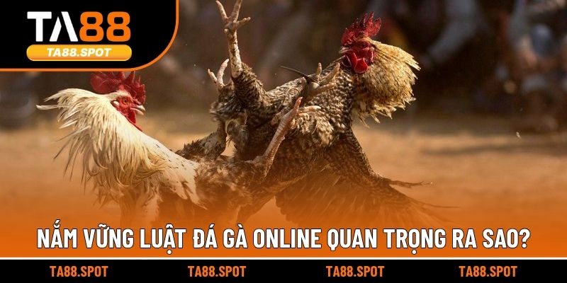 Nắm vững luật đá gà online quan trọng ra sao?
