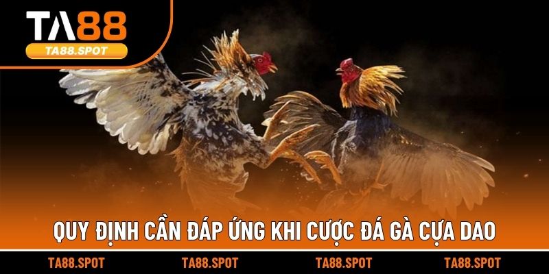 Quy định cần đáp ứng khi cược đá gà cựa dao