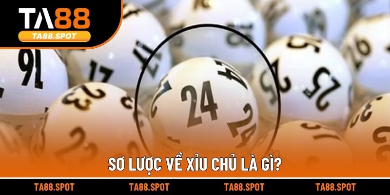 Sơ lược về xỉu chủ là gì?