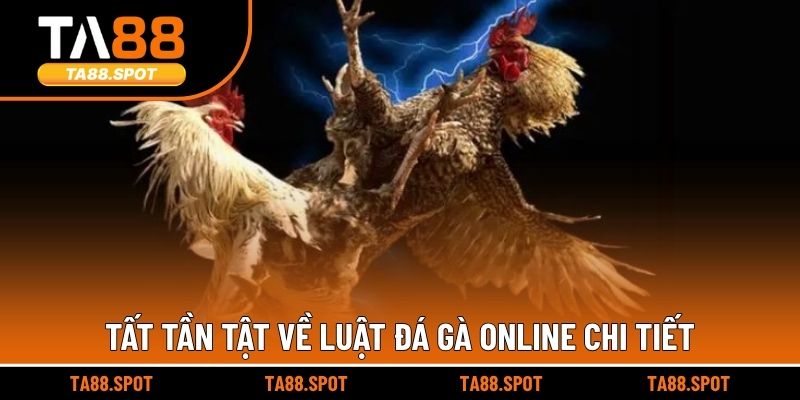 Tất tần tật về luật đá gà online chi tiết