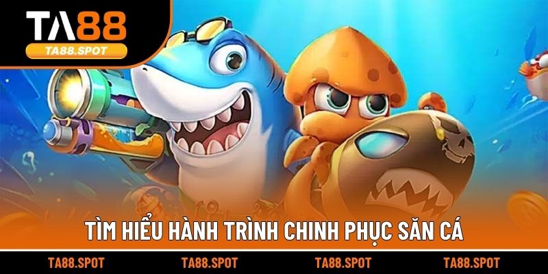Tìm hiểu hành trình chinh phục săn cá