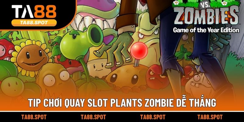 Tip chơi quay slot Plants Zombie dễ thắng