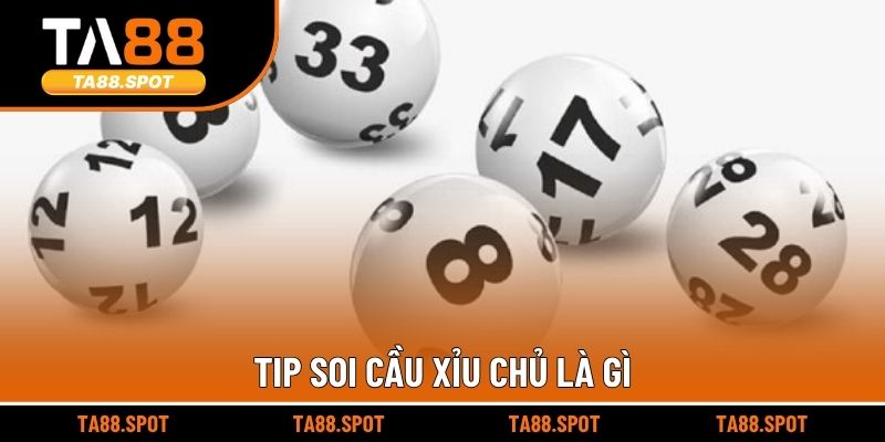 Tip soi cầu Xỉu chủ là gì