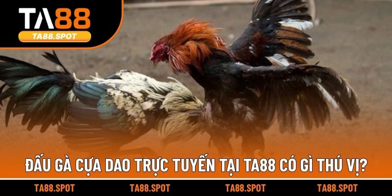 Đấu gà cựa dao trực tuyến tại TA88 có gì thú vị?