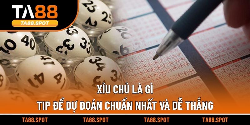 Xỉu Chủ Là Gì